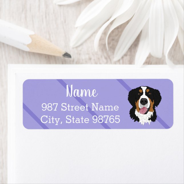 Bernese Mountain Dog (Insitu)