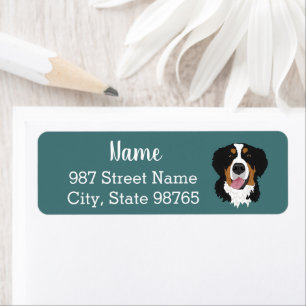 Bernese Mountain Dog