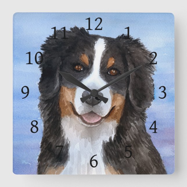 Bernese Mountain Dog 125 blue Square Wall Clock (Front)