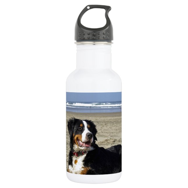 Bernese Mountain Dog 532 Ml Water Bottle (Front)