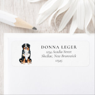 Bernese Mountain Dog Address