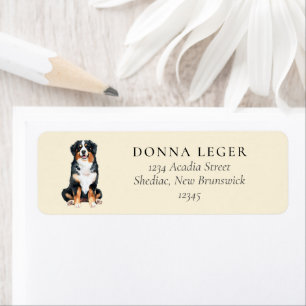 Bernese Mountain Dog Address