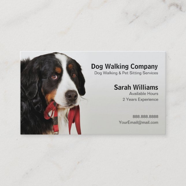 Bernese Mountain Dog (Berner Sennenhund) Business Card (Front)