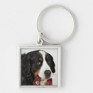 Bernese Mountain Dog (Berner Sennenhund) with Key Ring