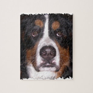 :Bernese Mountain Dog" "Big Dog" Dog Jigsaw Puzzle