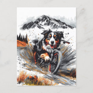Bernese Mountain Dog Biking In The Mountains Postcard