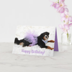 Bernese Mountain Dog Birthday Card