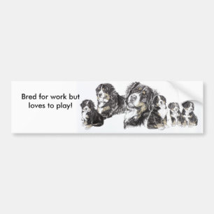Bernese Mountain Dog Bumper Sticker