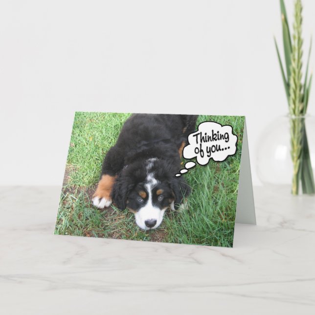 Bernese Mountain Dog Card (Front)