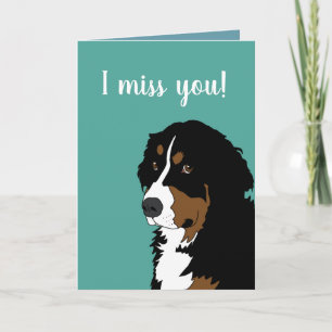 Bernese Mountain Dog Card