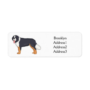 Bernese mountain dog cartoon illustration