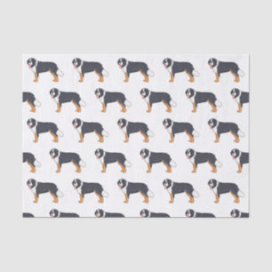 Bernese mountain dog cartoon illustration tissue paper