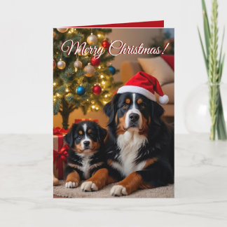 Bernese Mountain Dog Christmas  Card