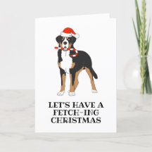 bernese mountain dog christmas cards