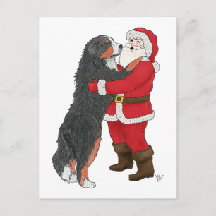 Bernese Mountain Dog Christmas Greeting Holiday Postcard
