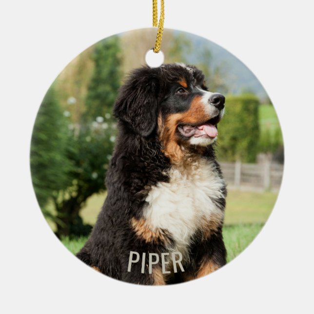 Bernese Mountain Dog Christmas Ornament (Front)