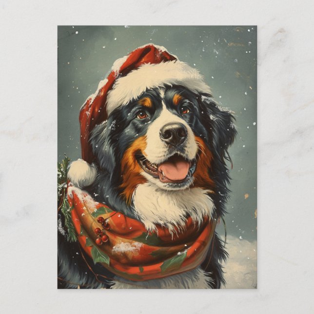 Bernese mountain dog Christmas  Postcard (Front)