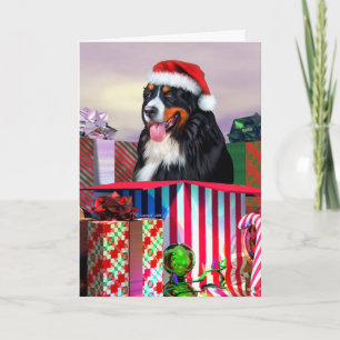 Bernese Mountain Dog Christmas Surprise Holiday Card