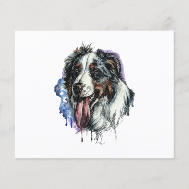Bernese Mountain Dog Cute Face Postcard (Front)