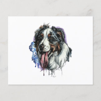 Bernese Mountain Dog Cute Face Postcard