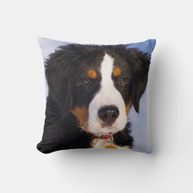 Bernese Mountain Dog - Cute Puppy Photo Cushion (Front)