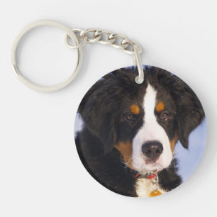 Bernese Mountain Dog - Cute Puppy Photo Key Ring