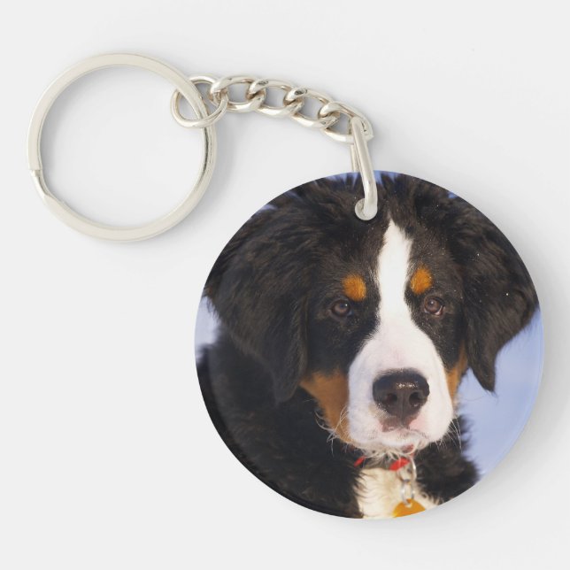 Bernese Mountain Dog - Cute Puppy Photo Key Ring (Front)