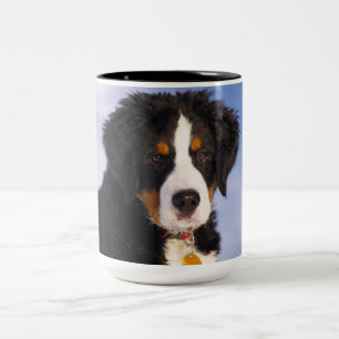 Bernese Mountain Dog - Cute Puppy Photo Two-Tone Coffee Mug