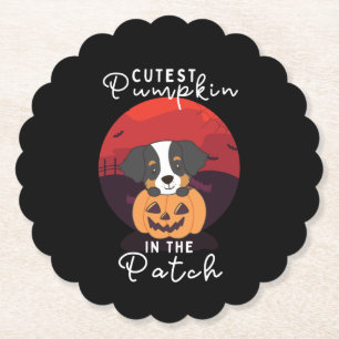 Bernese Mountain Dog Cutest Pumpkin In The Patch Paper Coaster