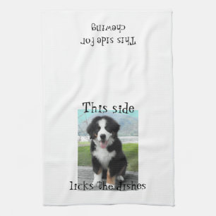 Bernese Mountain Dog Dish towel