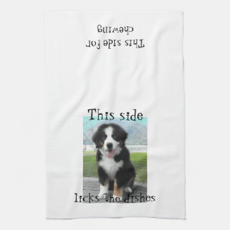 Bernese Mountain Dog Dish towel