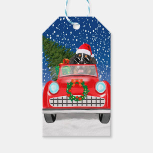 Bernese Mountain Dog Driving Car In Snow Christmas Gift Tags