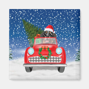 Bernese Mountain Dog Driving Car In Snow Christmas Magnet
