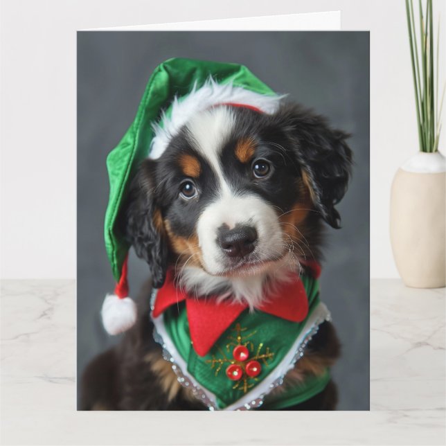 Bernese Mountain Dog Elf Puppy Christmas Card  (Front)