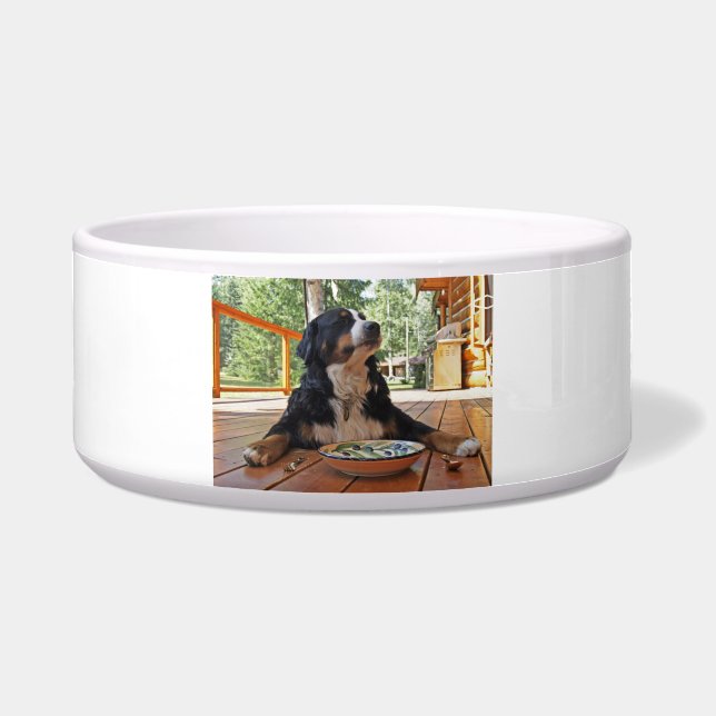 Bernese Mountain Dog, Everyone's Best Friend (Front)