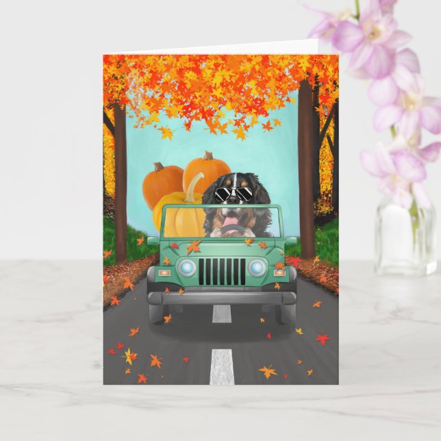 Bernese Mountain Dog Fall Pumpkin Card (Orchid)