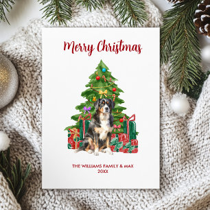 Bernese Mountain Dog Family Christmas Holiday Card