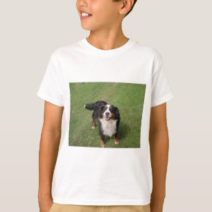 bernese mountain dog full.png T-Shirt