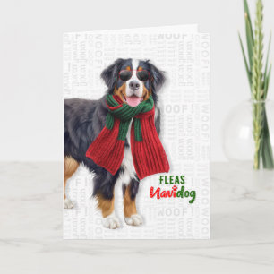 Bernese Mountain Dog Funny Fleas Navidog Christmas Holiday Card