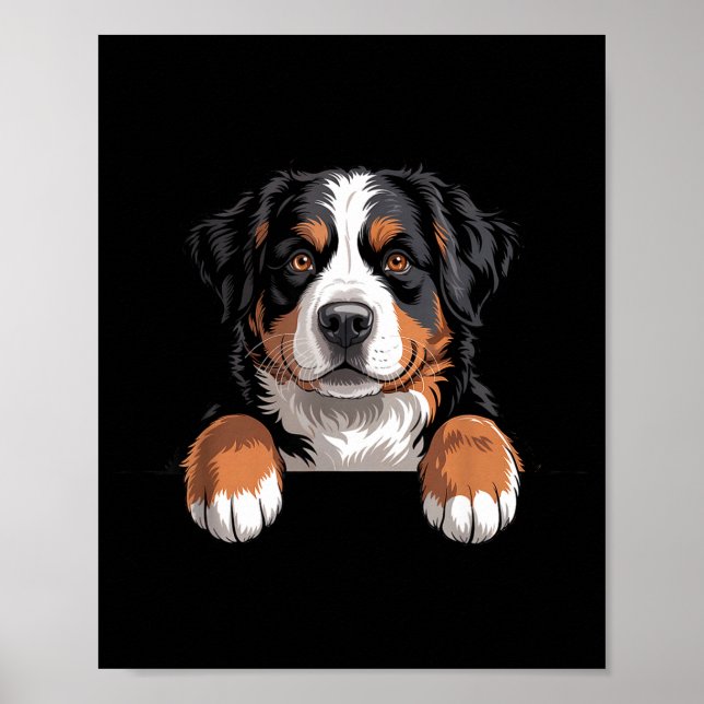 Bernese Mountain Dog Funny Peeking Cket Berner Pup Poster (Front)