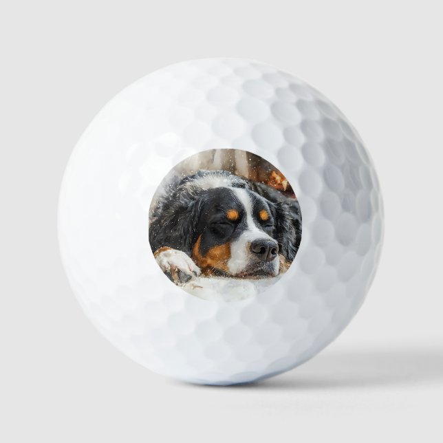 Bernese Mountain Dog Golf Balls (Front)