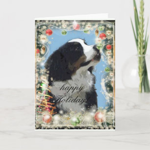 Bernese Mountain Dog greeting card