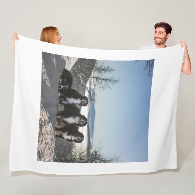 bernese mountain dog group   fleece blanket (In Situ)