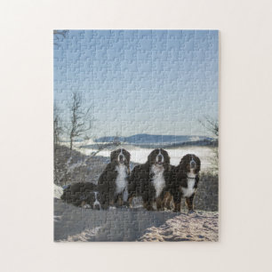bernese mountain dog group   jigsaw puzzle