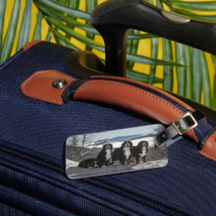 bernese mountain dog group luggage tag