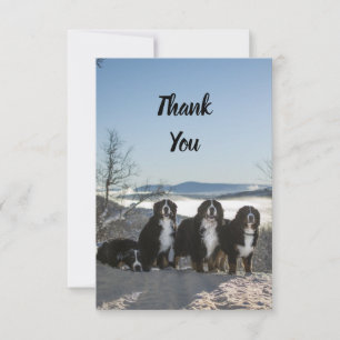 bernese mountain dog group   thank you card