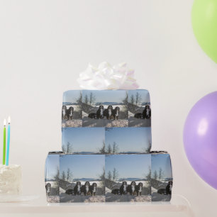 bernese mountain dog group wrapping paper