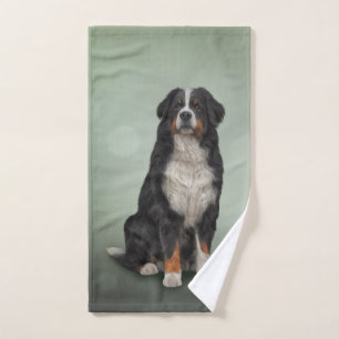 Bernese Mountain Dog Hand Towel