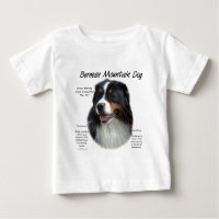 Bernese Mountain Dog History; All About Berners