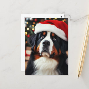 Bernese Mountain Dog in a Santa Hat Postcard